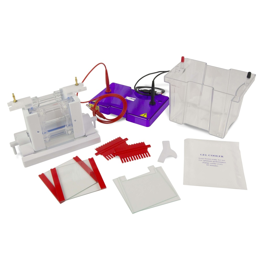  Mini Dual Vertical Gel Electrophoresis Tank 10 x 10cm. Complete with 2 Sets of Glass Plates, 1mm Thick Bonded Spacers, 2 x 12 Sample 1mm Thick Combs. Including Caster, Clamp Version and External Casting Upstand