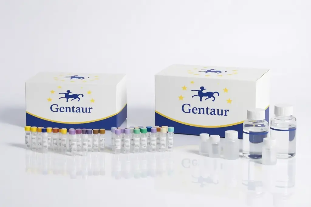 Anti-A1, A2 human blood antigen IgM